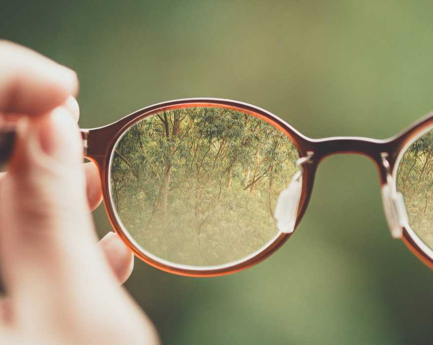 Rotaready comparison: Beyond the feature check-list