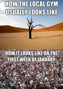 New Year's resolution